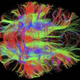 Illustration for article titled The Strange Stories Behind the Years Best Scientific Images